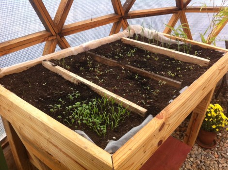 Detalle de la Mesa de Cultivo